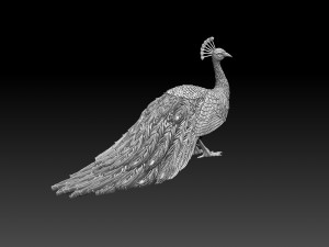 Peacock 3D Print Model
