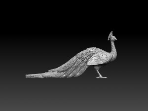 Peacock 3D Print Model
