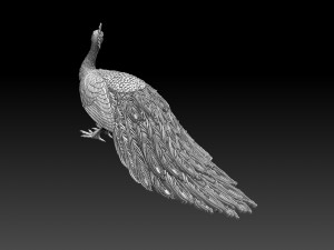 Peacock 3D Print Model