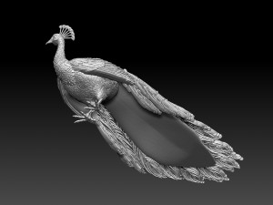 Peacock 3D Print Model
