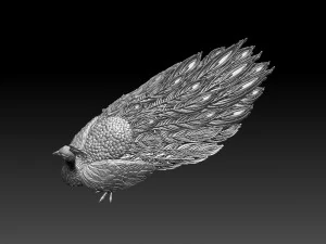 Peacock 3D Print Model