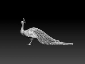 Peacock 3D Print Model