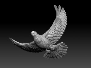 Dove Modèles 3D en vedette
