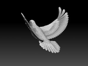 Dove Modèles 3D en vedette