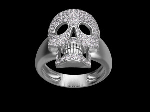 Ring 3D-Druckmodell