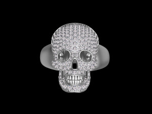 Ring 3D-Druckmodell