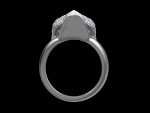 Ring 3D-Druckmodell