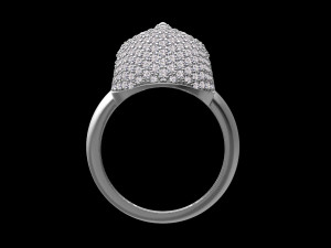 Ring 3D-Druckmodell