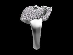 Ring 3D-Druckmodell