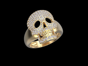 Ring 3D-Druckmodell