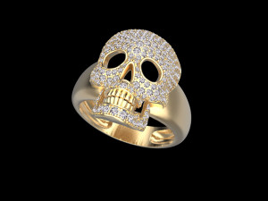 Ring 3D-Druckmodell