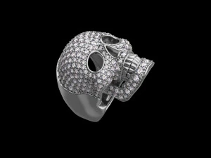 Ring 3D Print Model