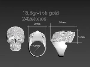 Ring 3D Print Model