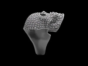 Ring 3D Print Model