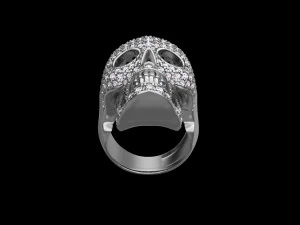 Ring 3D Print Model