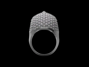 Ring 3D Print Model