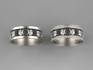 anillo de cr&aacute;neo Modelo de impresión 3D