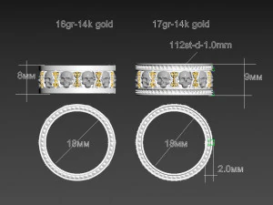 anillo de cr&aacute;neo Modelo de impresión 3D