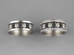 anillo de cr&aacute;neo Modelo de impresión 3D