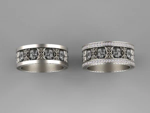 anillo de cr&aacute;neo Modelo de impresión 3D