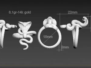 Ring cobra 3D Print Model
