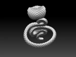 Ring cobra 3D Print Model