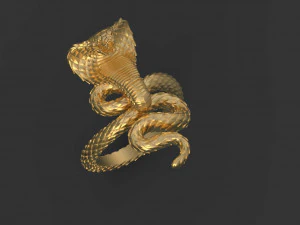 Ring cobra 3D Print Model