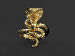 Ring cobra 3D Print Model