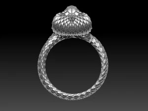 Ring cobra 3D Print Model