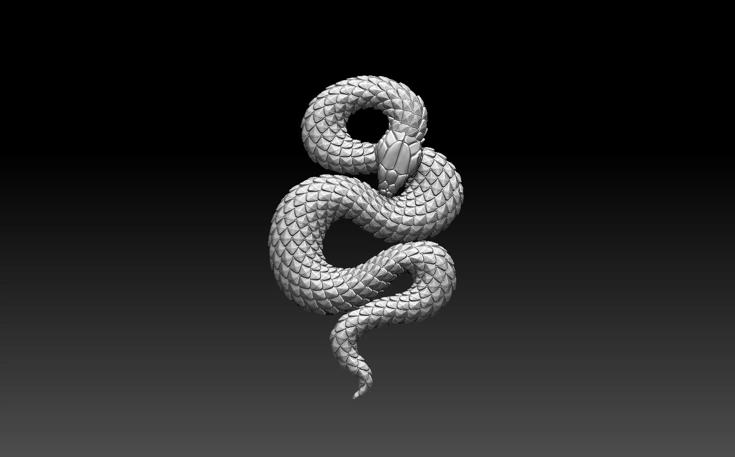 Snake 3D Print Model .c4d .max .obj .3ds .fbx .stl .blend 