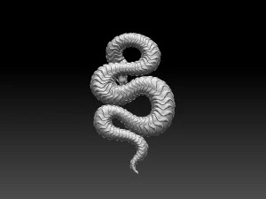 Snake 3D Print Model