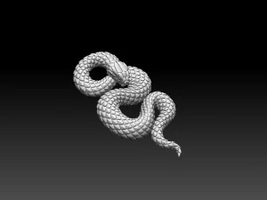 Snake 3D Print Model