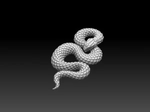 Snake 3D Print Model