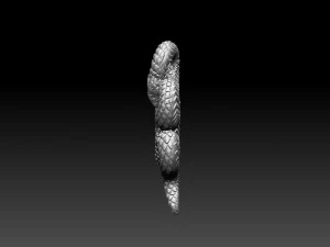 Snake 3D Print Model