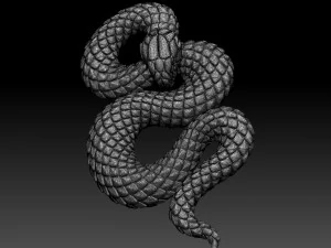 Snake 3D Print Model