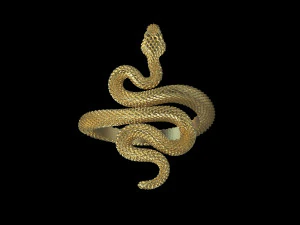 Halka yılan 3D Baskı Modeli