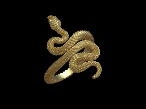 Ring snake 3D Print Model