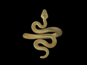 Ring snake 3D 打印模型