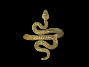 Ring snake 3D Print Model
