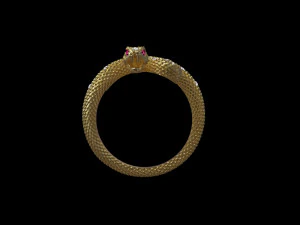 Ring snake 3D Print Model