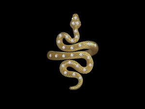 Ring snake 3D Print Model