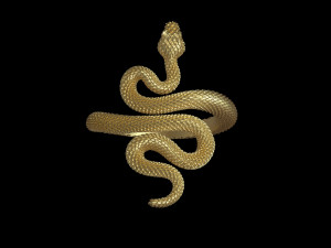 Ring snake 3D 打印模型