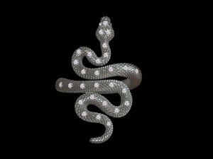 Ring snake 3D 打印模型