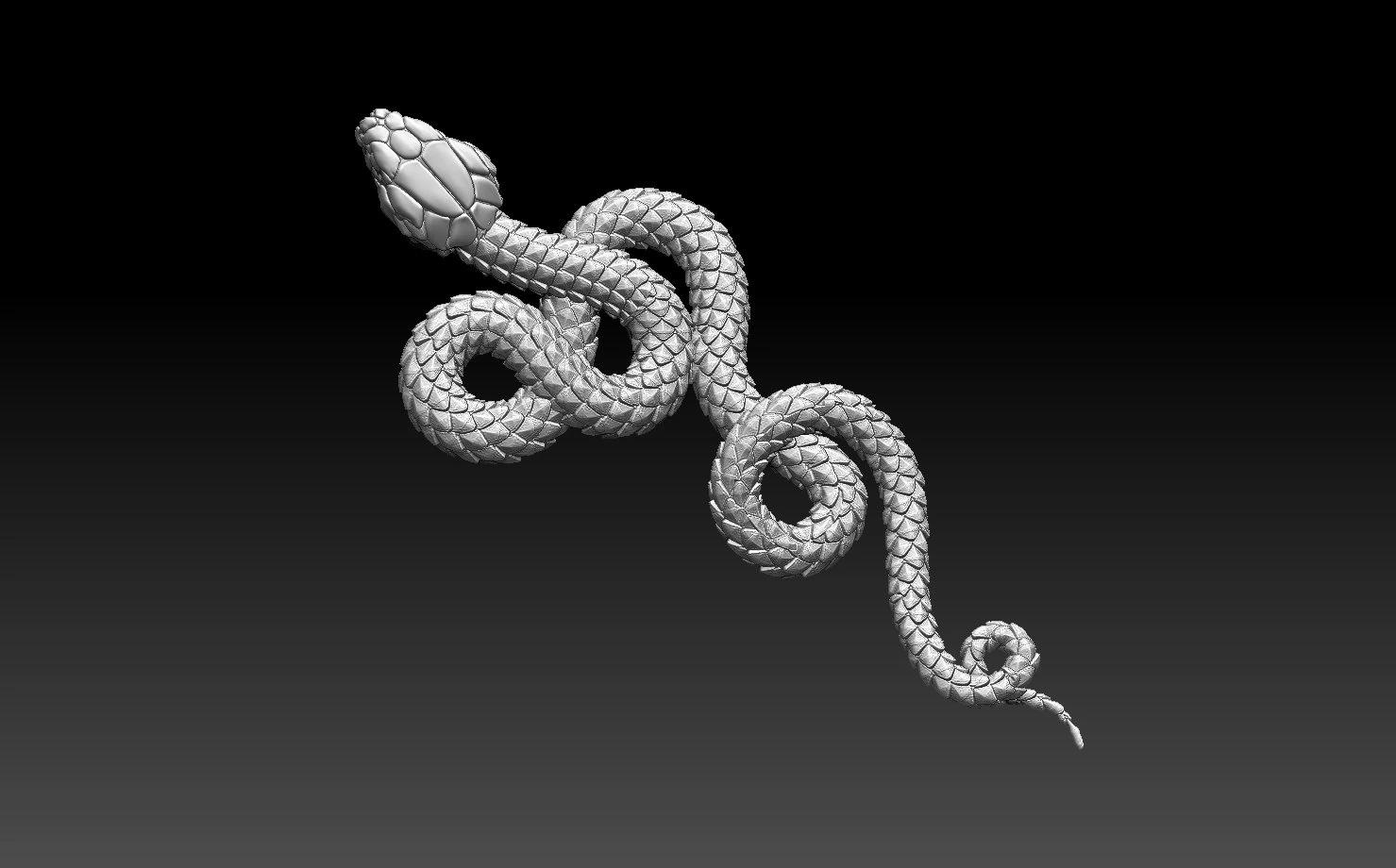 Snake 3D Print Model .c4d .max .obj .3ds .fbx .stl .blend 