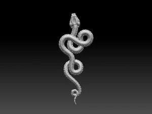 Snake 3D Print Model