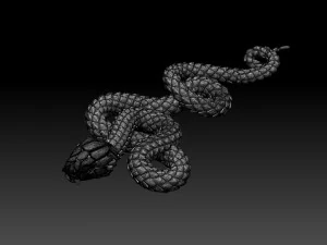Snake 3D Print Model