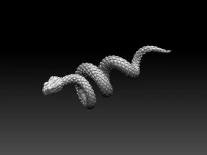 Snake 3D Print Model