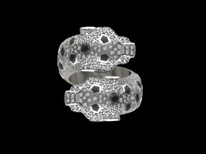 Ring 3D Print Model