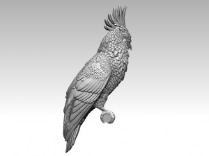 Parrot 3D 打印模型