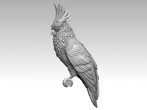 Parrot 3D 打印模型